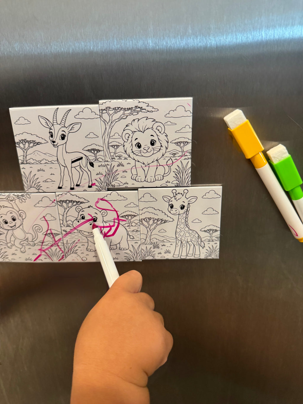 Pre-Designed Reusable Coloring Magnets