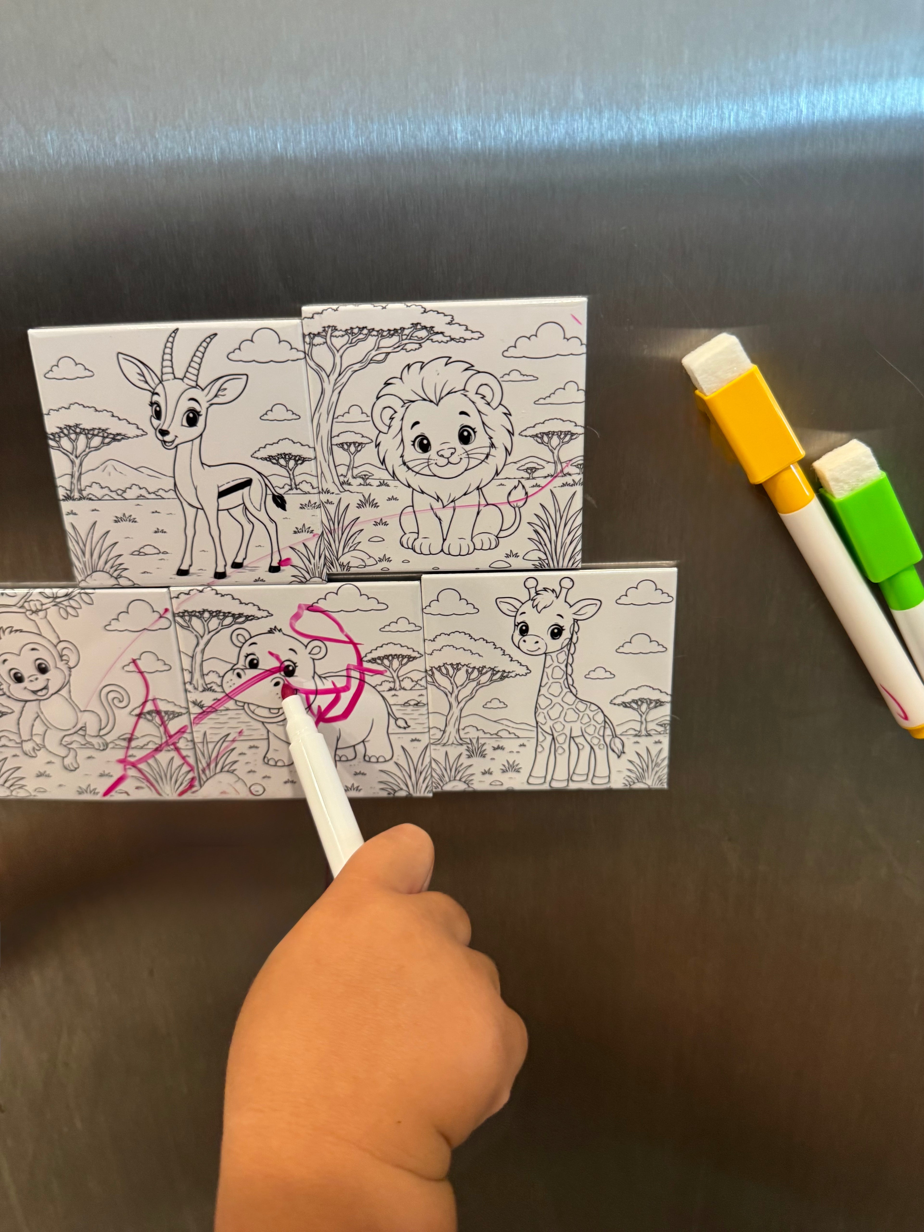 Custom Photo Reusable Coloring Magnets