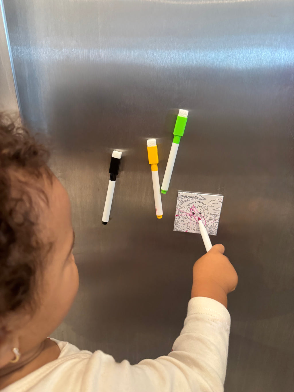 Pre-Designed Reusable Coloring Magnets