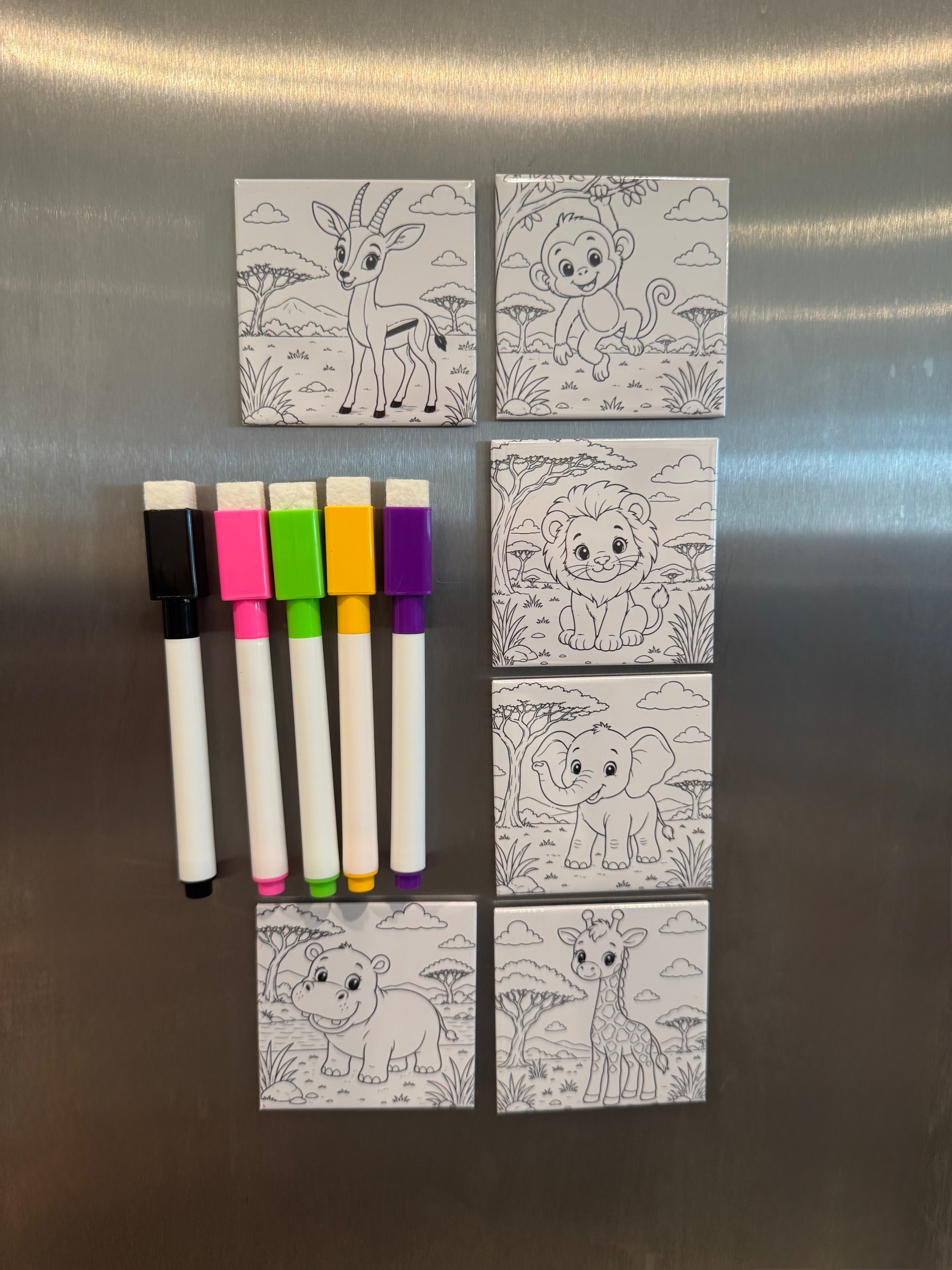 Custom Photo Reusable Coloring Magnets