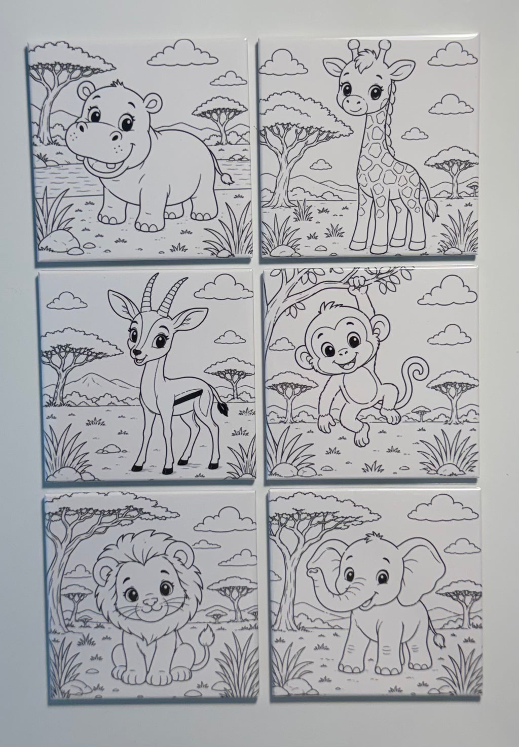 Custom Photo Reusable Coloring Magnets