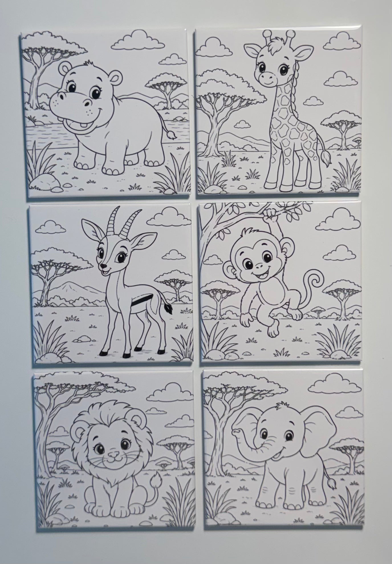 Custom Photo Reusable Coloring Magnets
