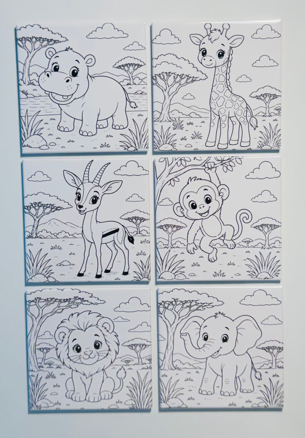 Pre-Designed Reusable Coloring Magnets