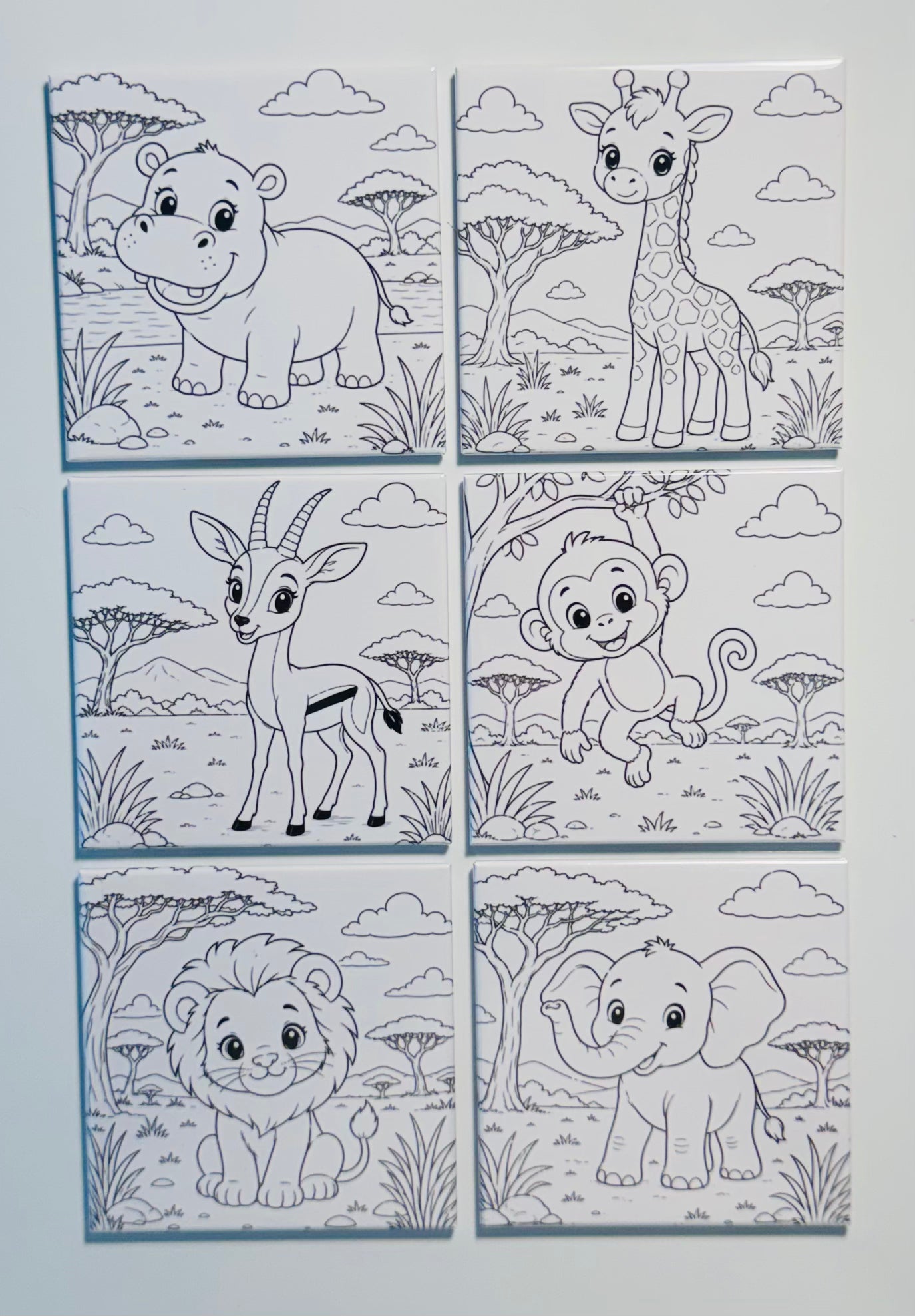 Pre-Designed Reusable Coloring Magnets