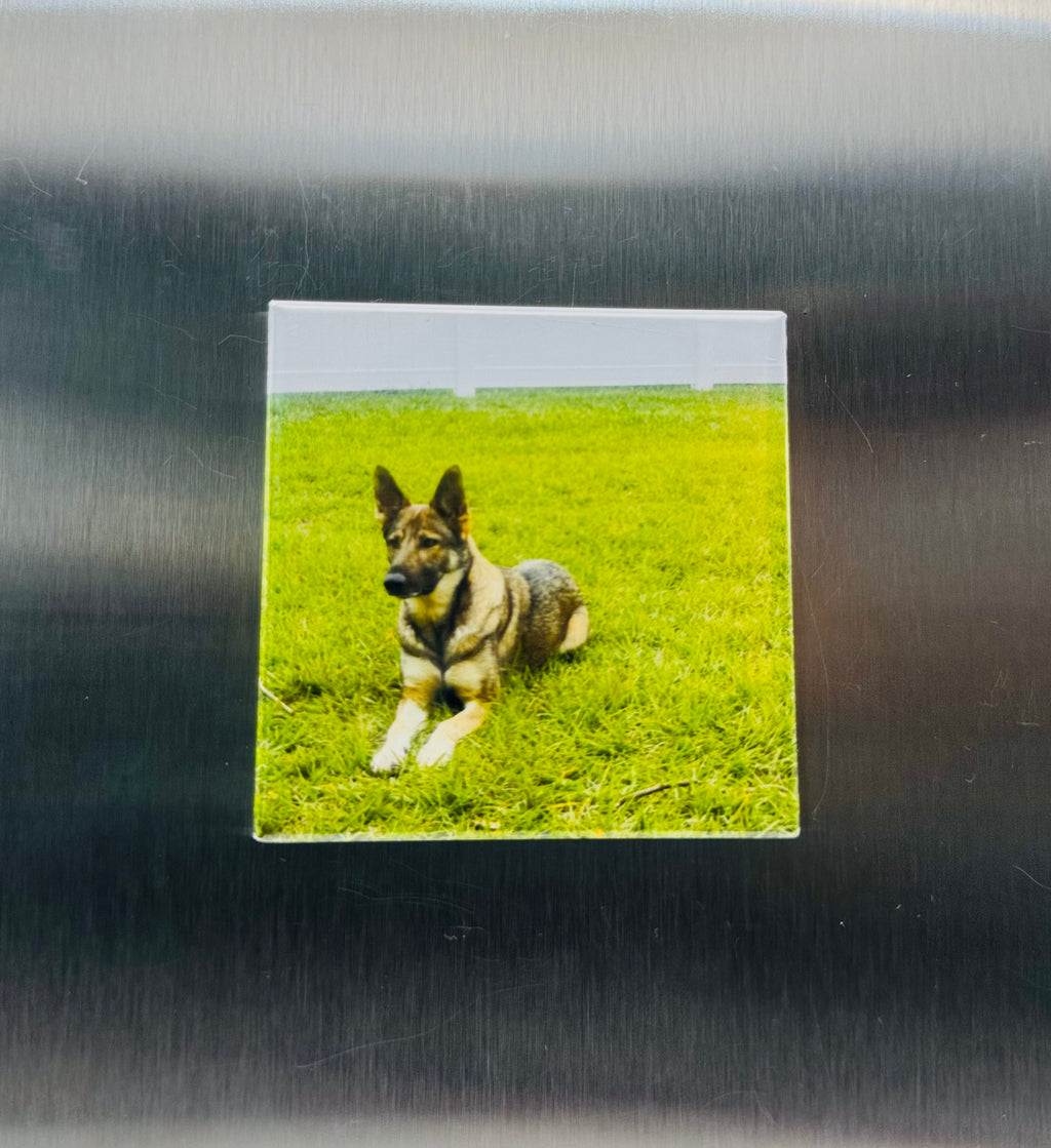 Lifetime Collection - 50 Custom Photo Magnets