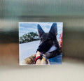 Mini Moments - 3 Custom Photo Magnets