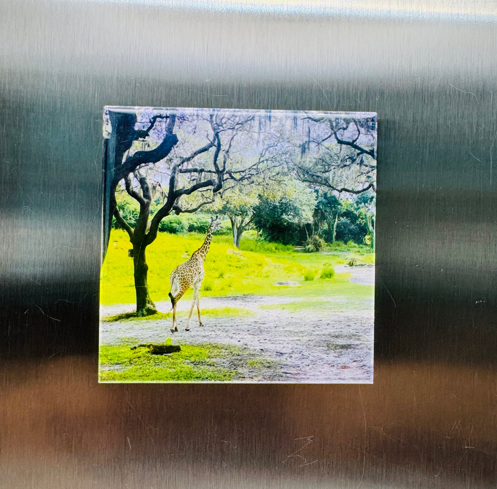 Memory Set - 6 Custom Photo Magnets