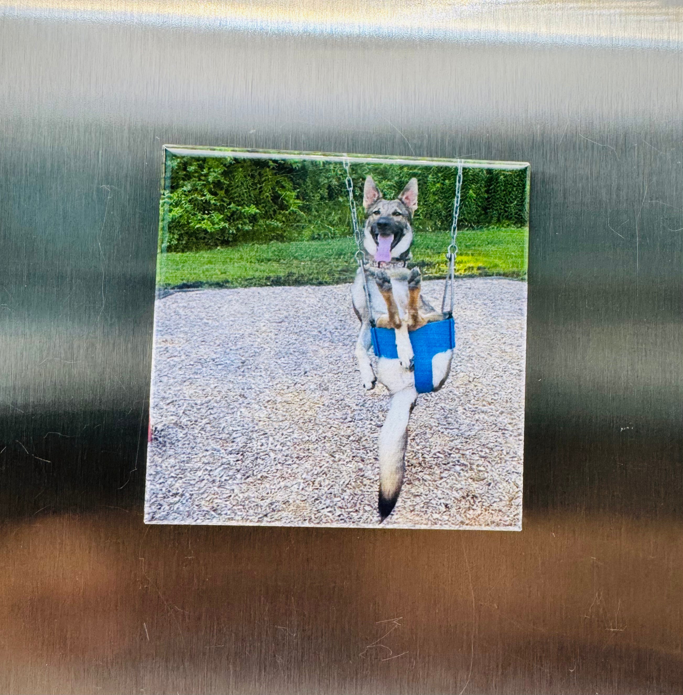 Memory Set - 6 Custom Photo Magnets